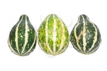 Three green pumpkins isolated on white.