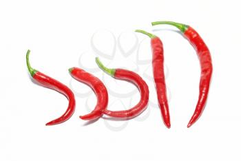 Row of red hot chili peppers isolated on white