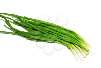 Green fresh onions isolated on white.