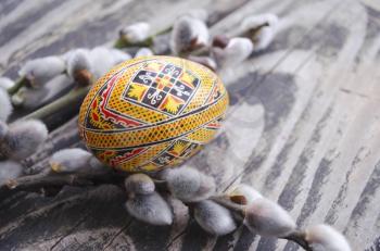 Easter colorful egg and willow branches on wooden background. Springtime. Holiday card. Spring willow twigs with catkins and ornate egg. Happy Easter. Still life with Pysanka. Easter background.
