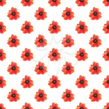 Seamless pattern with red poppy flowers on white background. Flower pattern for wedding invitation, greeting cards, gift warp.