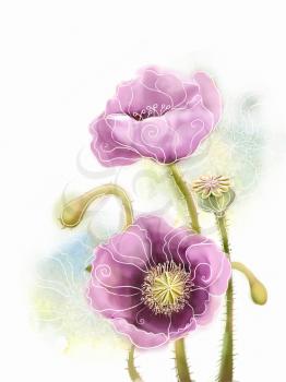 Floral card. Watercolor painting: colorful stylized pink poppies isolated on white.