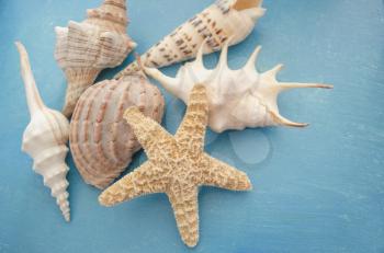Summer inspiration vacation composition background with beach starfish and shells on blue wooden table close-up. Concept of the summer time with fish star and sea shells on the wooden blue background.