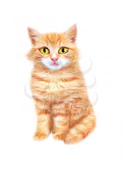 Cute furry orange cat isolated on white background. Hand drawn pet. Portrait of a cat. Illustration for greeting cards, invitations, and other printing projects.
