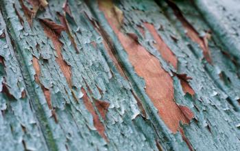 Vintage wooden background with faded turquoise peeling paint. Old wooden painted texture surface. Shabby Planks with cracked color paint.