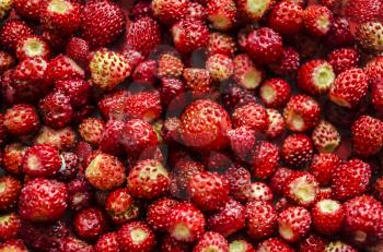 Strawberry macro photos. Food for health and beauty. Superfood berries.