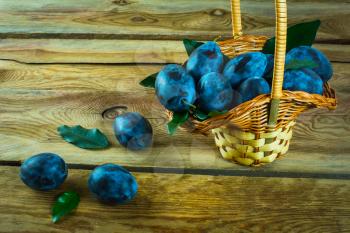 Fruit plum prunes in a basket on an old dark wooden background. Selective focus