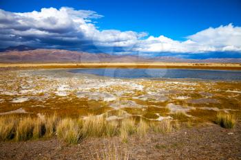 Lake in bright multi-colored steppe, mountains and blue sky in the background