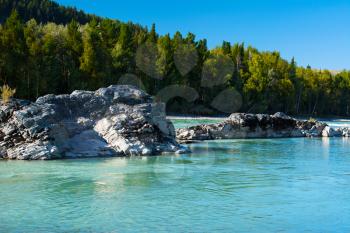 Big rocks in the turquoise river, Katun river, Altai Mountains, Russia