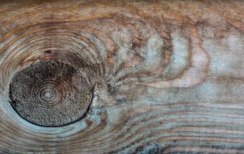 Wood old texture multicolor background, speck on a wooden board 