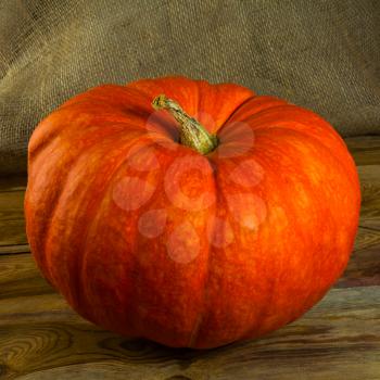 Ripe pumpkin on rustic wooden background. Pumpkins. Thanksgiving Day. Halloween. Vegetables