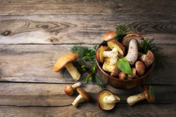 Forest picking mushrooms in the dark wooden bowl, top view. Fresh raw mushrooms on the rustic table. Leccinum scabrum