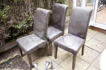 Empty wooden chairs in the garden. Old and used leathered chairs in the garden. Four dirty chairs. Home renovations and improvements. Washing and cleaning dirty kitchen chairs.