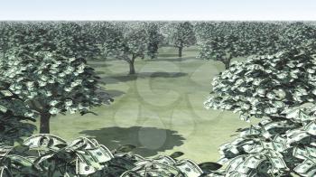 US Hundred Dollar Bill Trees