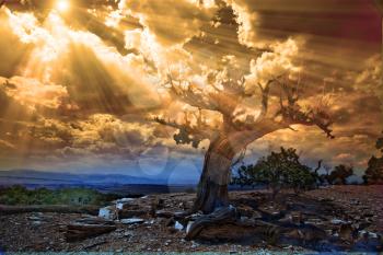 Light streams into rocky desert scene