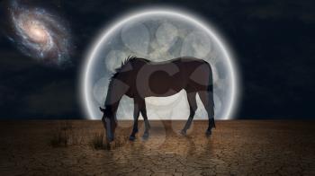 Surrealism. Horse grazes in arid land. Giant moon at the horizon.