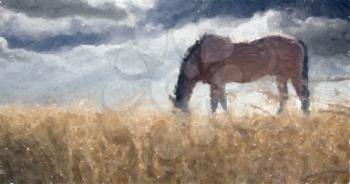 Painting. Horse in the field.
