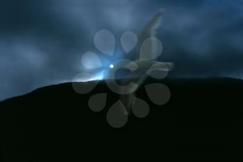 White bird flies in dramatic sky. 3D rendering