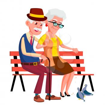 Elderly Couple Sitting On Bench In Summer, Autumn Park Vector. Illustration