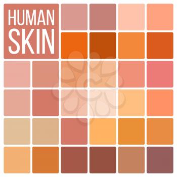 Skin Human Vector. Various Body Tones Chart. Realistic Texture Palette. Illustration