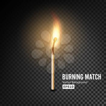 Realistic Burning Match Vector. Matchstick Flame. Transparency Grid