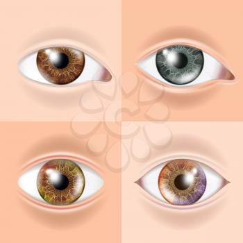 Human Eye Set Vector. Vision Concept. Medical Eye Diagnostic. Sight, Eyesight. Organ Test. Body Care. Detail Illustration