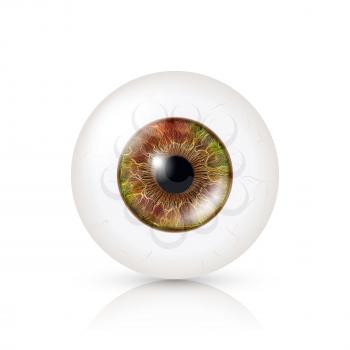 Photo Realistic Eyeball. Human Retina. Vector Illustration Of 3d Human Glossy Eye With Shadow And Reflection. Front View. Isolated On White Background