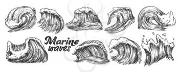 Designed Sketch Splash Marine Wave Set Vector. Collection Of Different Enormous Huge Breaking Ocean Sea Storm Water Wave With Foam. Nature Aquatic Tsunami Monochrome Cartoon Illustration