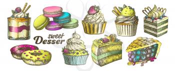 Color Assortment Baked Sweet Dessert Set Vintage Vector. Chocolate And Fruit Cakes, Macaroons And Donuts, Berries Pie And Creamy Caseous Dessert Concept. Designed Template Illustrations
