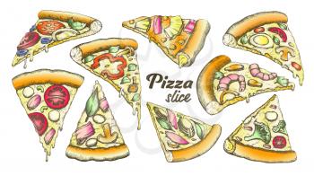 Color Assortment Different Slice Pizza Set Ink Vector. Collection Slice Cheese Pizza With Ingredients Mushroom And Shrimp Prawn, Tomatoes And Onion Concept. Designed Template Illustrations