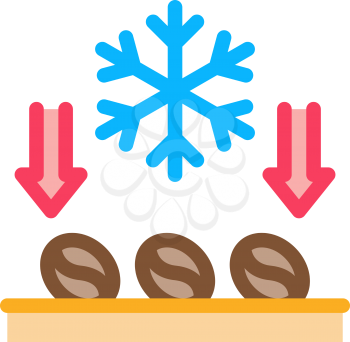 coffee beans freezing icon vector. coffee beans freezing sign. color symbol illustration