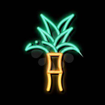 Sugar Cane Plant neon light sign vector. Glowing bright icon Sugar Cane Plant sign. transparent symbol illustration