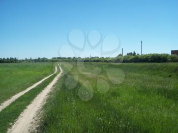 Field outside the city, agriculture plants