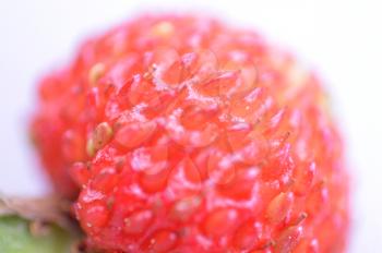 Wild berries close up, strawberries