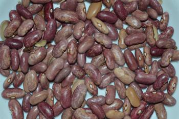 The texture of the beans of various varieties of plants for food