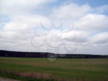 Field outside the city, agriculture plants