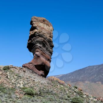Mount Teide and the rock called the Tree