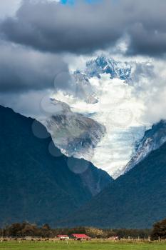Living in the Shadow of the Fox Glacier