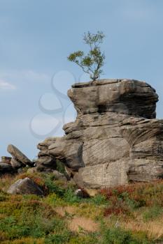 Scenic view of Brimham Rocks in Yorkshire Dales National Park