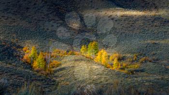 Autumn Colours in Wyoming