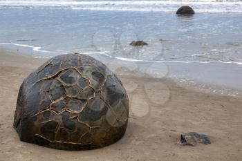 Moeraki Boulders