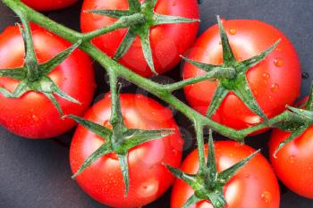Close-up of Some Ripe Tomatoes on the Vine