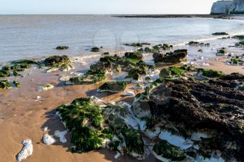 Chalk rocks exposed at low tide in Botany Bay near Broadstairs in Kent