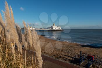 EASTBOURNE, EAST SUSSEX/UK - JANUARY 28 : Pampas Grasses in front of Eastbourne Pier in East Sussex on January 28, 2019. Two unidentified people.