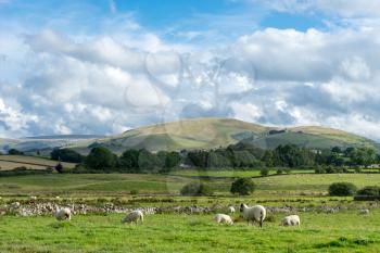 Countryside of the Lake District