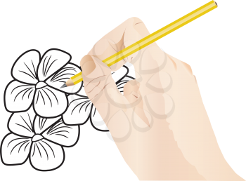 Illustration of hand is drawing sketch of flowers
