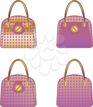 Fashion woman's purple handbag designs on white background.