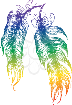 Stylized grunge feathers silhouettes illustration on white.