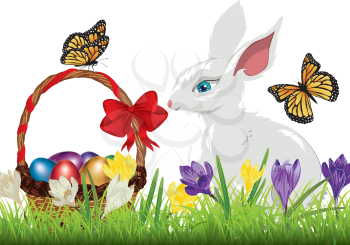 Spring flowers, colorful crocus and cute white rabbit with Easter basket.