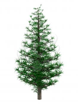 3D digital rendered illustration of christmas tree on white background.